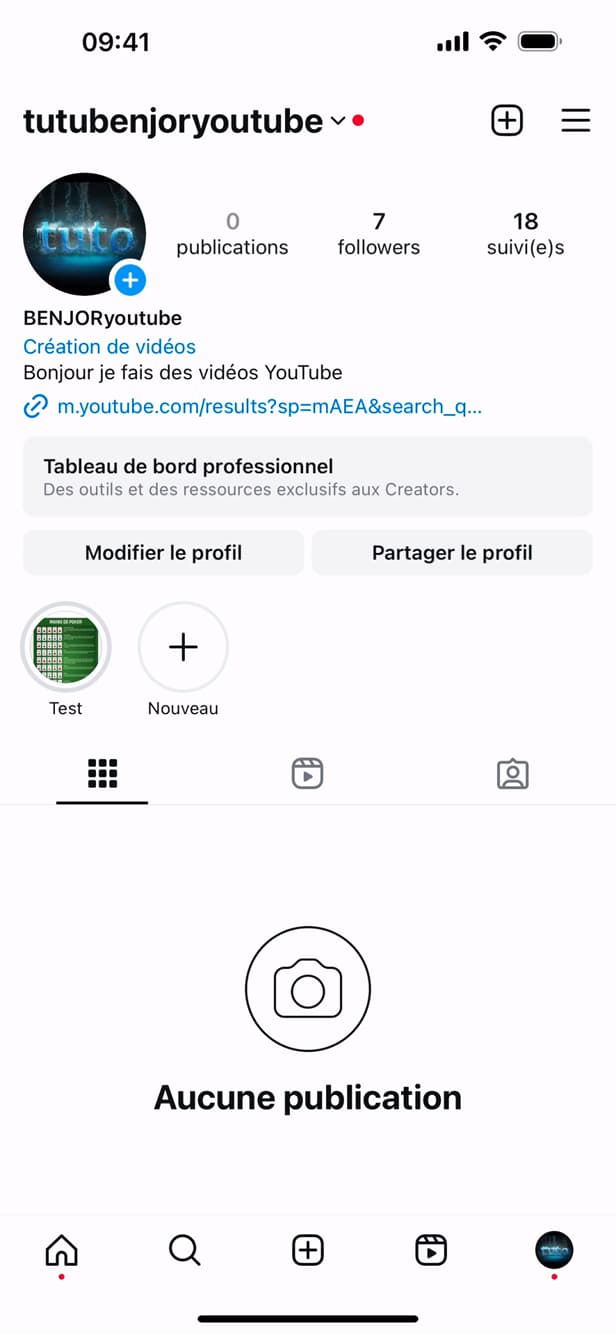 Enregistrement de la bio sur Instagram