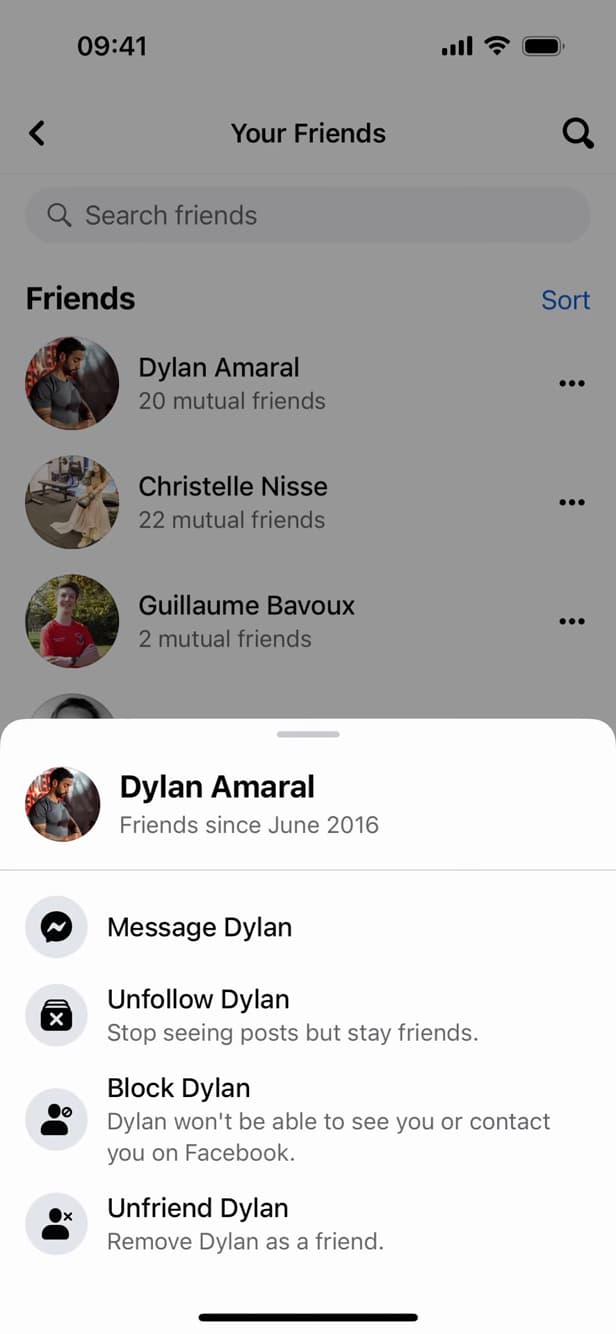 Menu Retirer de mes amis sur Facebook