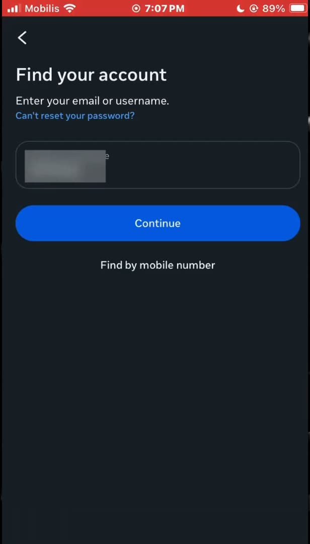 Instagram login options with the username entered