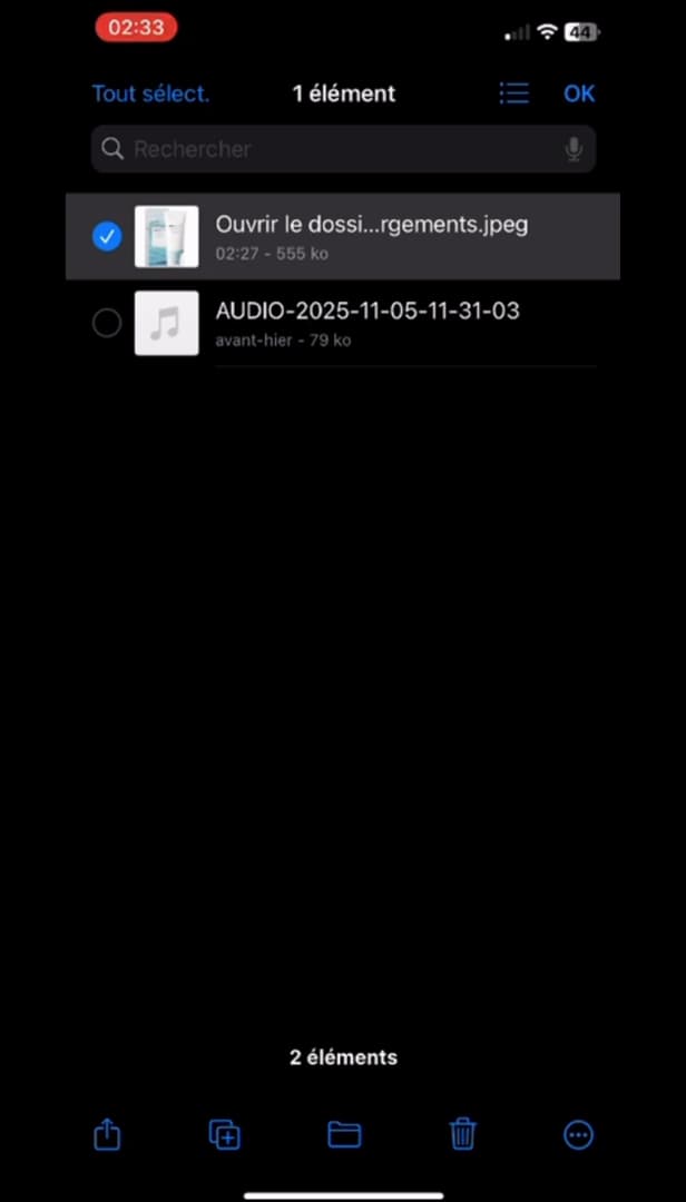 iPhone Files app with an image selected