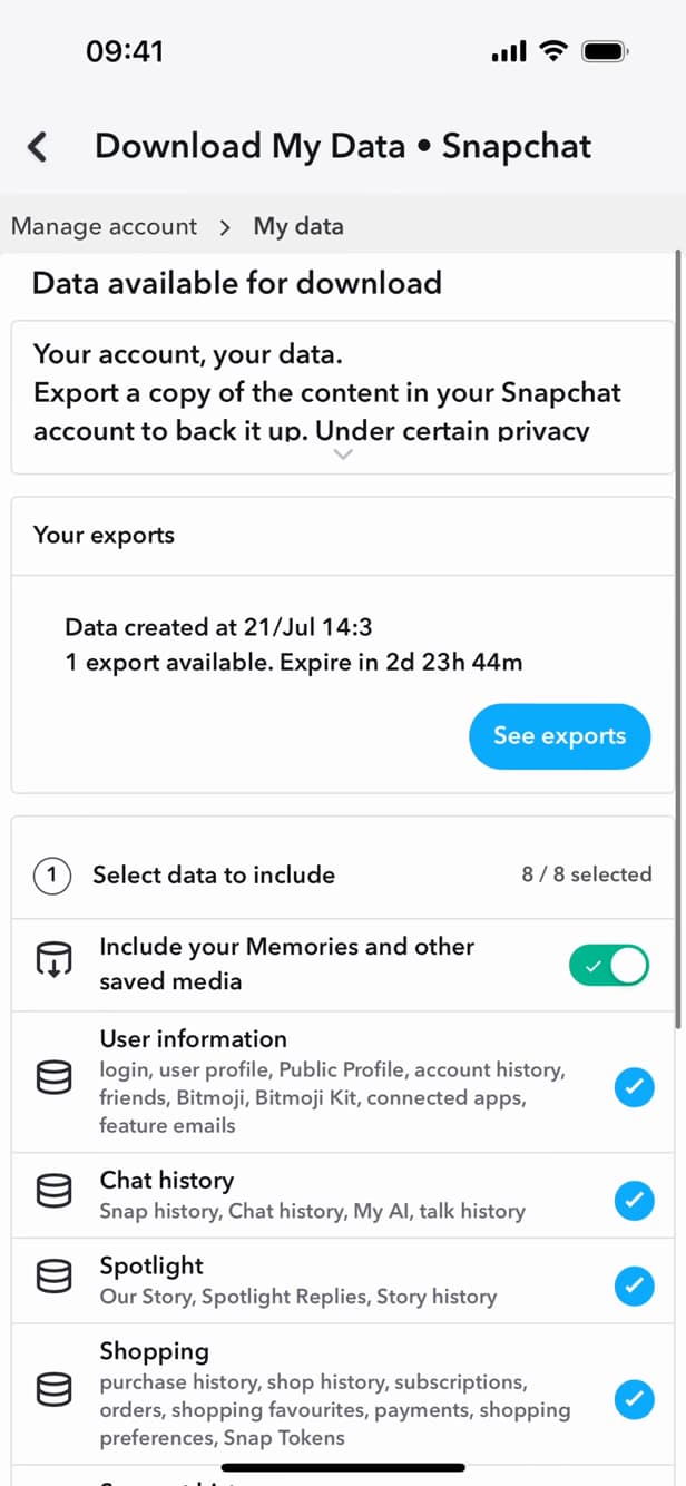 Screen for selecting the data to export on Snapchat