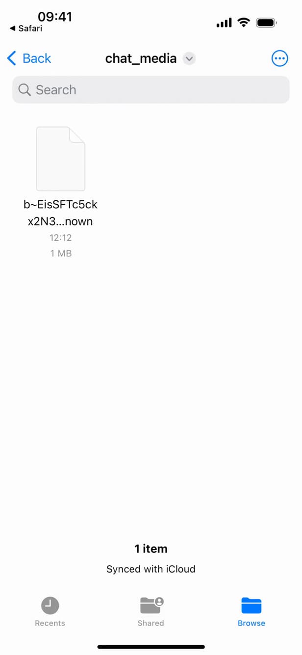Downloading the Snapchat data archive