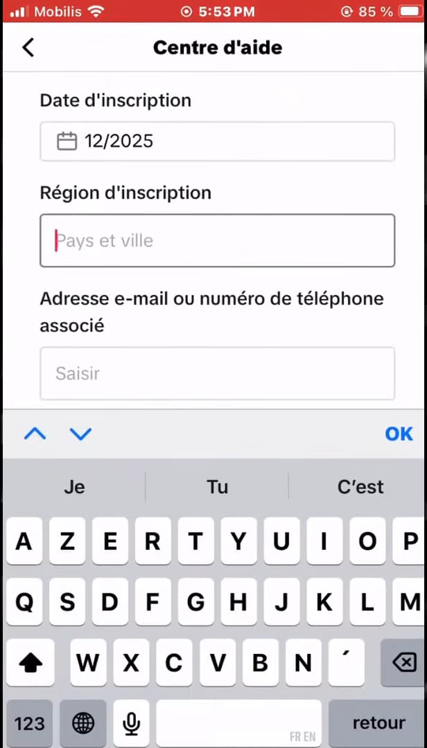 TikTok form with sign-up date, region and linked email