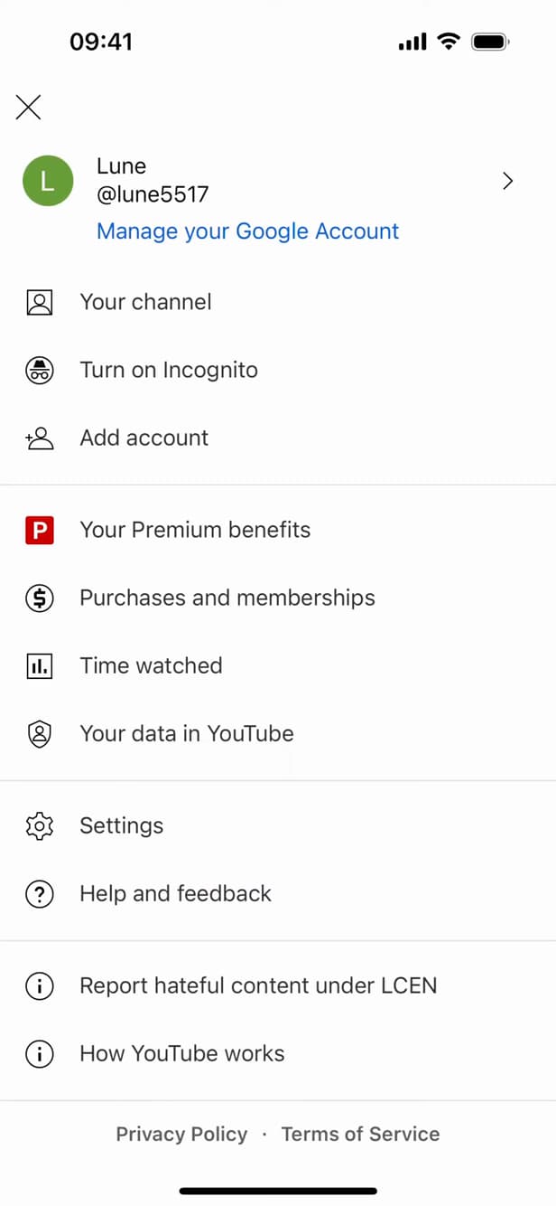 Menu Vos données dans YouTube